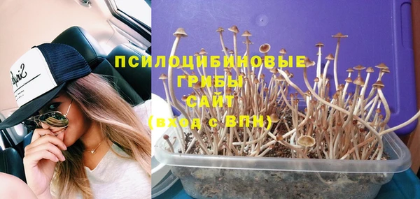 спиды Касимов