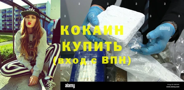 сатива Кинешма