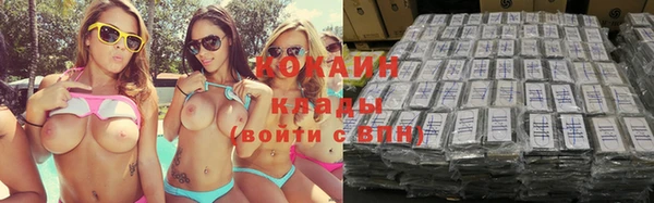сатива Кинешма