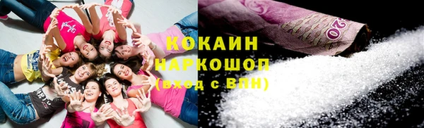 сатива Кинешма