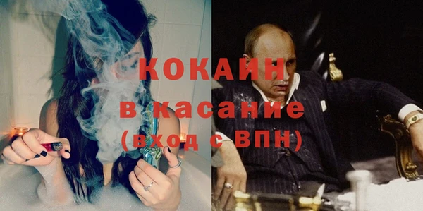 сатива Кинешма
