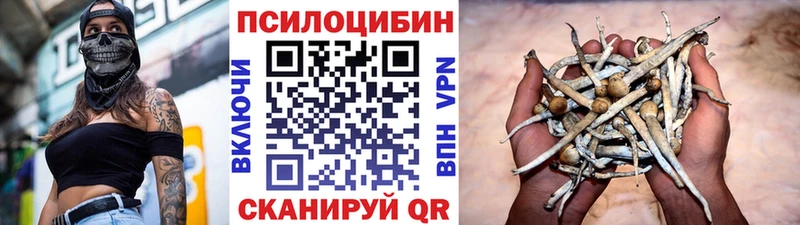 закладка  Саров  Псилоцибиновые грибы прущие грибы 