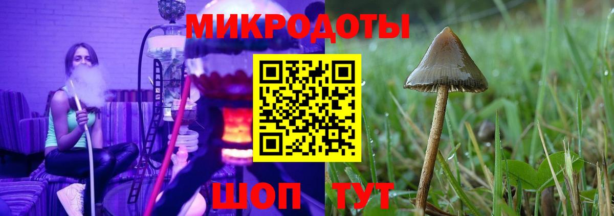 Псилоцибиновые грибы GOLDEN TEACHER Саров